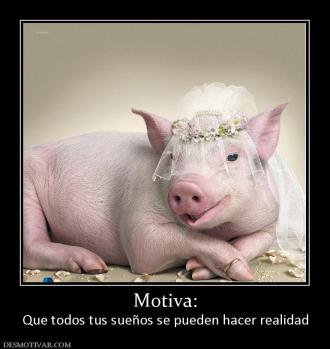 Motiva: Que todos tus sueños se pueden hacer realidad