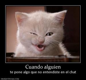 Cuando alguien te pone algo que no entendiste en el chat