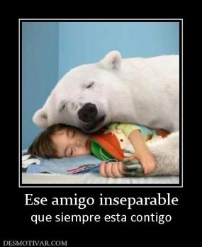 Ese amigo inseparable que siempre esta contigo