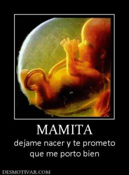 MAMITA dejame nacer y te prometo que me porto bien
