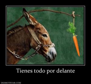 Tienes todo por delante