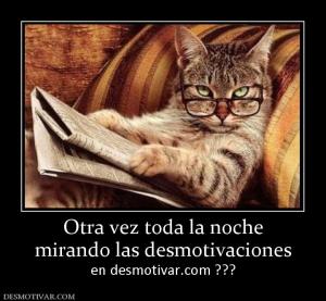 Otra vez toda la noche mirando las desmotivaciones en desmotivar.com ???