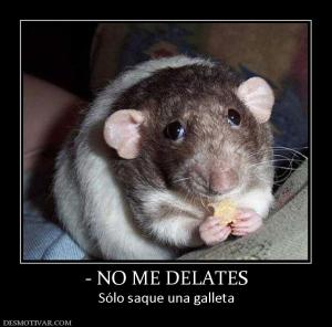 - NO ME DELATES Sólo saque una galleta