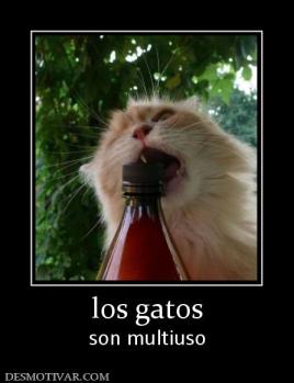 los gatos son multiuso