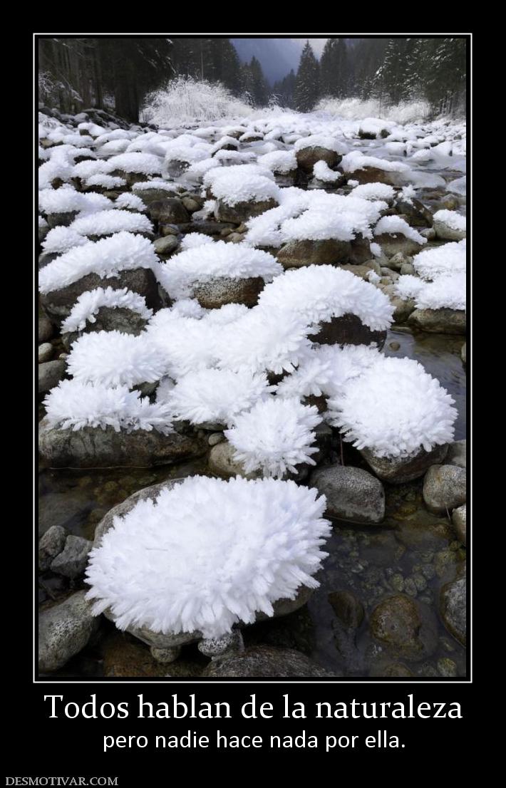 Todos hablan de la naturaleza pero nadie hace nada por ella.