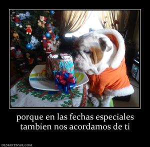 porque en las fechas especiales tambien nos acordamos de ti