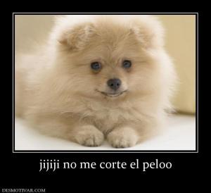 jijiji no me corte el peloo