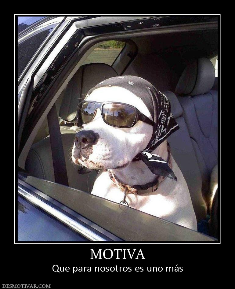 MOTIVA Que para nosotros es uno más