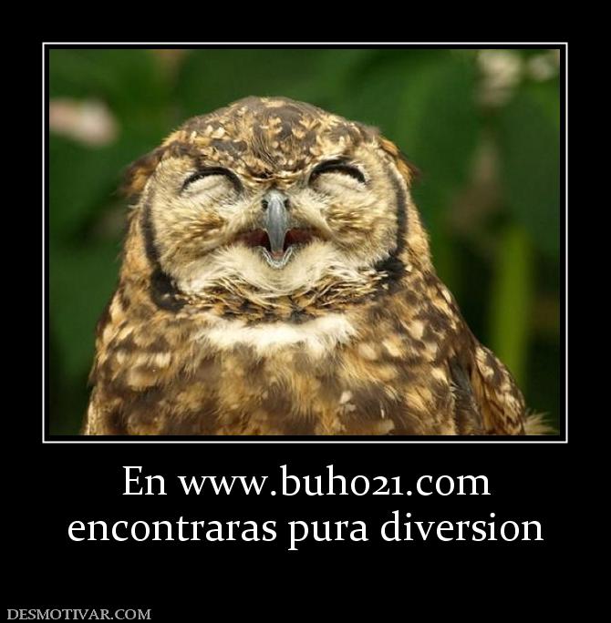 En www.buho21.org encontraras pura diversion