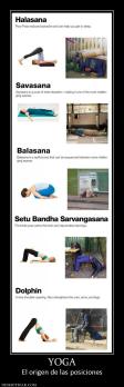 YOGA El origen de las posiciones