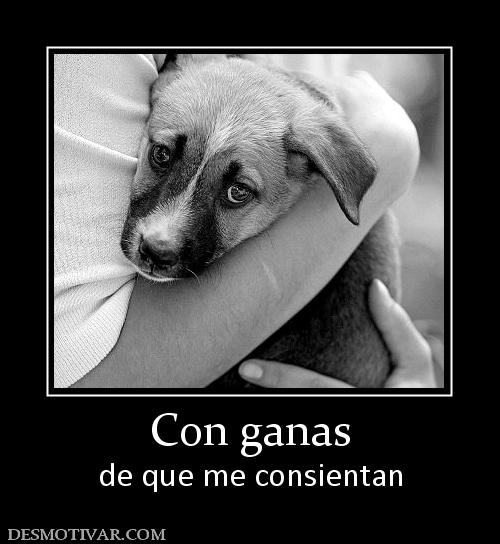 Con ganas de que me consientan