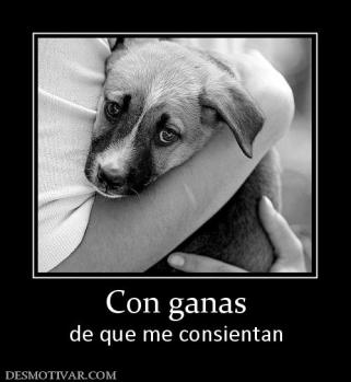 Con ganas de que me consientan