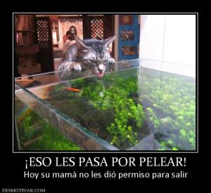 ¡ESO LES PASA POR PELEAR! Hoy su mamá no les dió permiso para salir