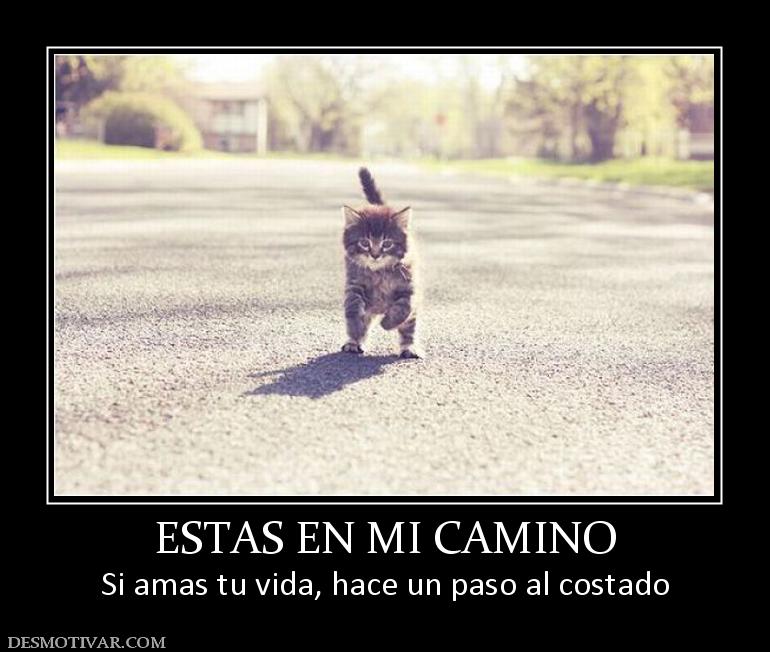 ESTAS EN MI CAMINO Si amas tu vida, hace un paso al costado