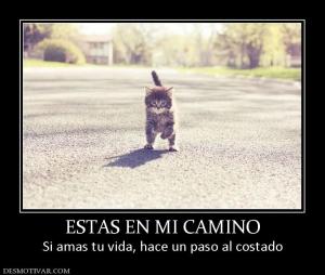 ESTAS EN MI CAMINO Si amas tu vida, hace un paso al costado