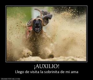 ¡AUXILIO! Llego de visita la sobrinita de mi ama