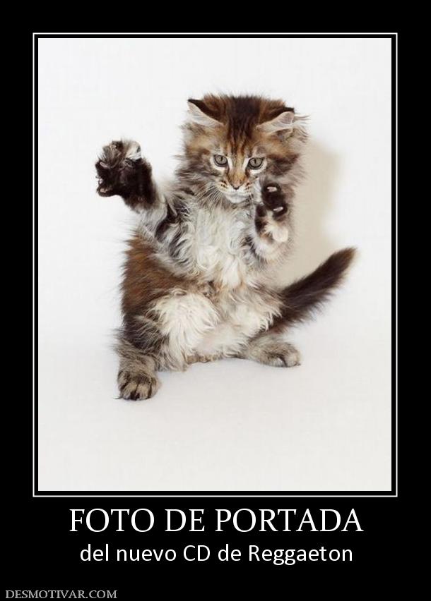 FOTO DE PORTADA del nuevo CD de Reggaeton
