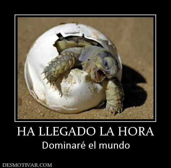 HA LLEGADO LA HORA Dominaré el mundo