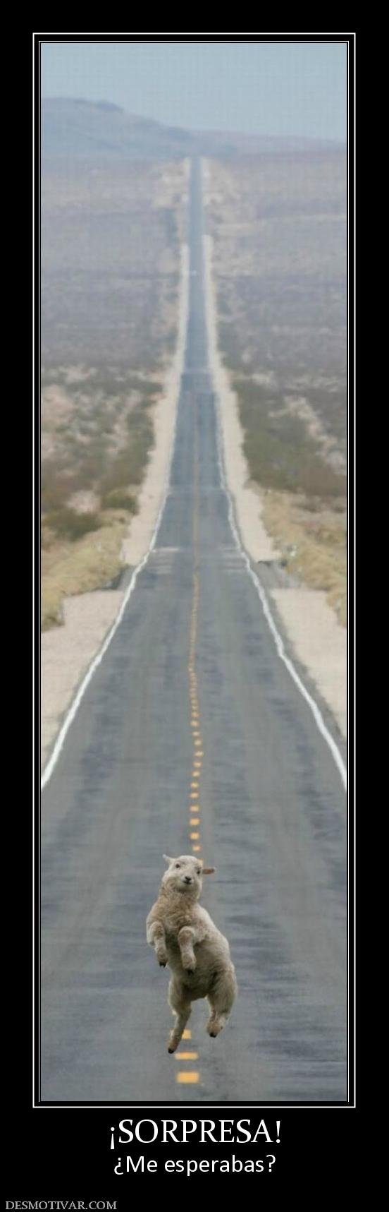 ¡SORPRESA! ¿Me esperabas?