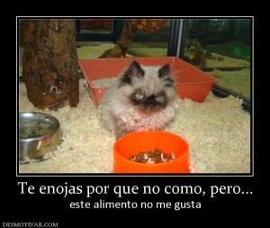 Te enojas por que no como, pero... este alimento no me gusta