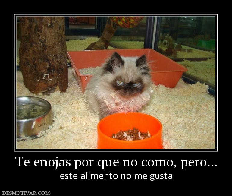 Te enojas por que no como, pero... este alimento no me gusta