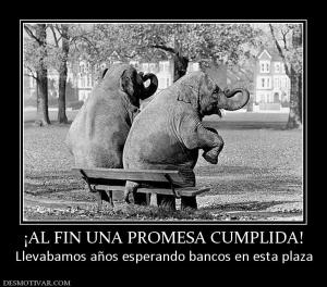 ¡AL FIN UNA PROMESA CUMPLIDA! Llevabamos años esperando bancos en esta plaza