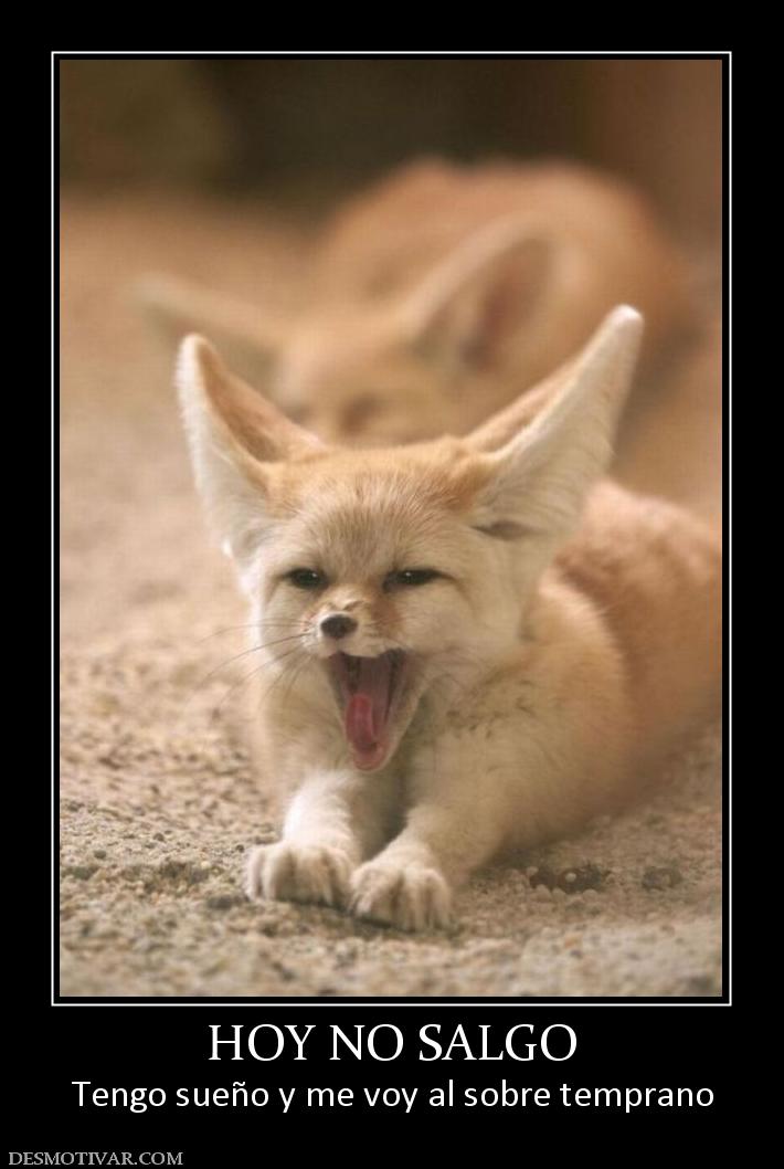 HOY NO SALGO Tengo sueño y me voy al sobre temprano