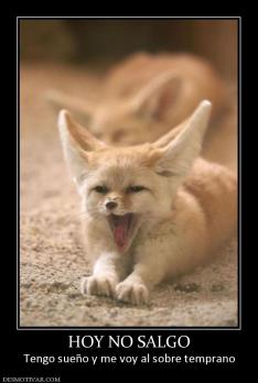 HOY NO SALGO Tengo sueño y me voy al sobre temprano