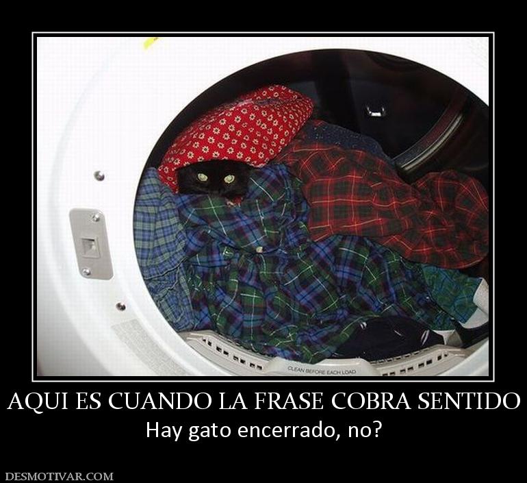 AQUI ES CUANDO LA FRASE COBRA SENTIDO Hay gato encerrado, no?