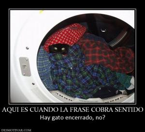 AQUI ES CUANDO LA FRASE COBRA SENTIDO Hay gato encerrado, no?
