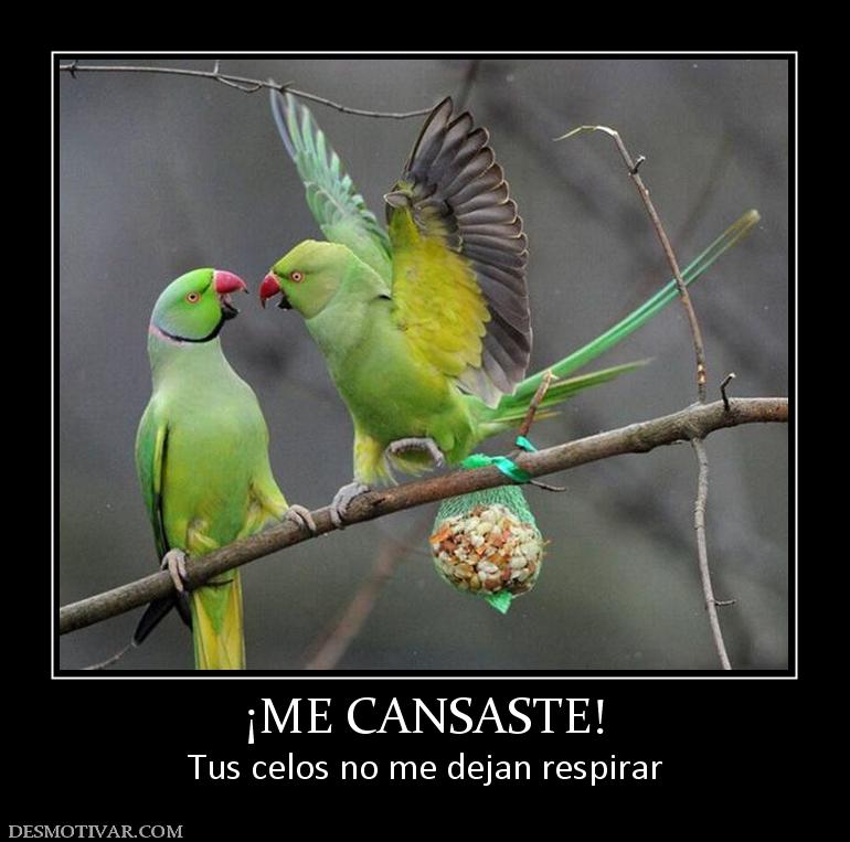 ¡ME CANSASTE! Tus celos no me dejan respirar