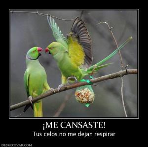 ¡ME CANSASTE! Tus celos no me dejan respirar
