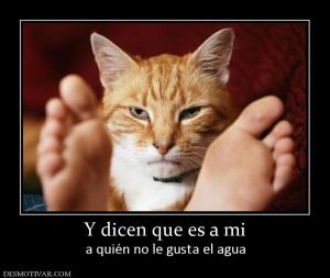 Y dicen que es a mi a quién no le gusta el agua