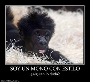 SOY UN MONO CON ESTILO ¿Alguien lo duda?