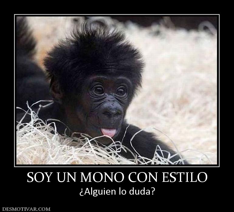 SOY UN MONO CON ESTILO ¿Alguien lo duda?