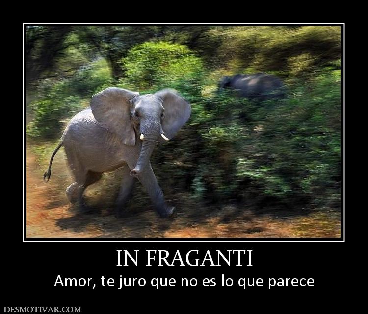 IN FRAGANTI Amor, te juro que no es lo que parece