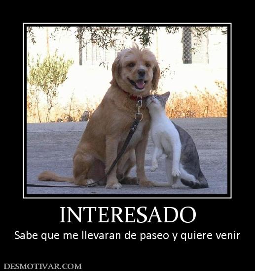 INTERESADO Sabe que me llevaran de paseo y quiere venir