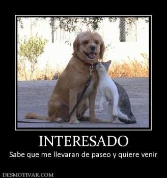 INTERESADO Sabe que me llevaran de paseo y quiere venir