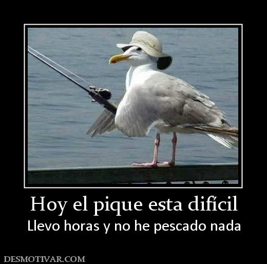 Hoy el pique esta difícil Llevo horas y no he pescado nada