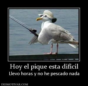 Hoy el pique esta difícil Llevo horas y no he pescado nada
