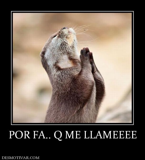 POR FA.. Q ME LLAMEEEE