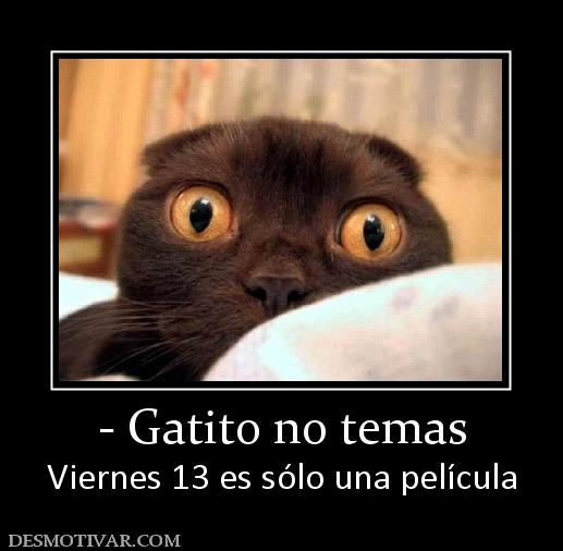 - Gatito no temas Viernes 13 es sólo una película