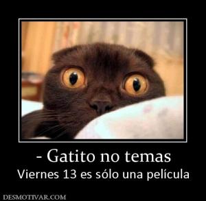 - Gatito no temas Viernes 13 es sólo una película
