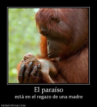 El paraíso está en el regazo de una madre