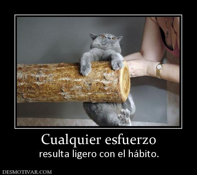 Cualquier esfuerzo resulta ligero con el hábito.