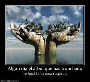 Algún día el árbol que has tronchado te hará falta para respirar.