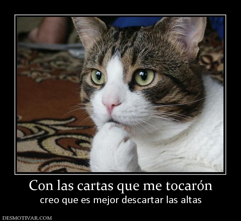 Con las cartas que me tocarón creo que es mejor descartar las altas