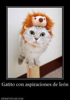 Gatito con aspiraciones de león