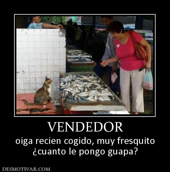 VENDEDOR oiga recien cogido, muy fresquito ¿cuanto le pongo guapa?