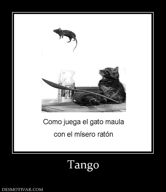 Tango